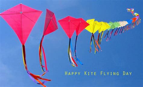 Sankranti Kites - 1600x972 Wallpaper - teahub.io