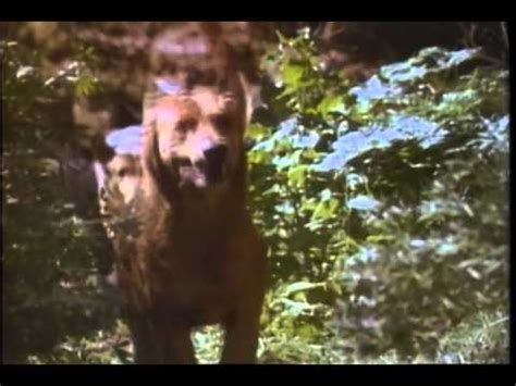 The Pack Trailer 1977 - YouTube