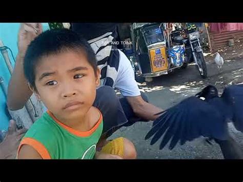 Uwak Philippines part 1 (July 20, 2020) Location Pampanga | Crow - YouTube