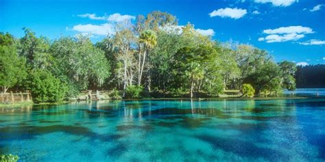 12 Natural Springs in Florida where you can Swim + Go Tubing