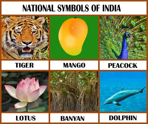 Indian National Symbols And Their Meanings