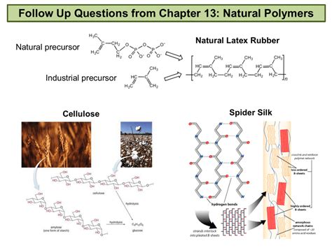 Follow Up Questions from Chapter 13: Natural Polymers Natural Latex ...