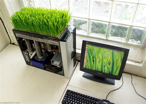 Bio Computer - Using computer heat for germination/growth. Diy Computer ...