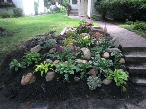 Full Shade Rock Garden Plants - Okejely Garden Plant