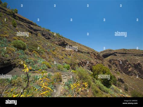 Caldera de Bandama, hiking trail Stock Photo - Alamy