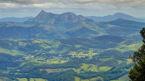 Elevation of Tyalgum NSW, Australia - Topographic Map - Altitude Map