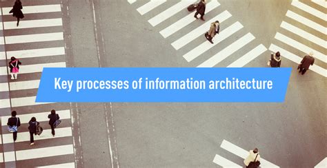 A Beginner's Guide To Information Architecture in UX [2023]