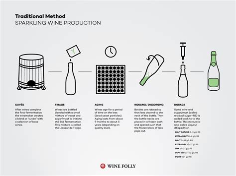 How Sparkling Wine is Made | Wine Folly | Wine folly, Sparkling wine ...