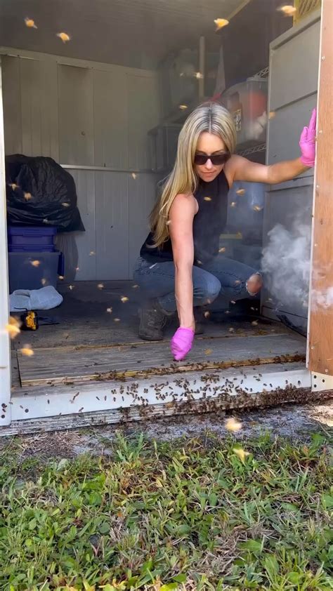 Bee hive removal without any protection. : r/interestingasfuck