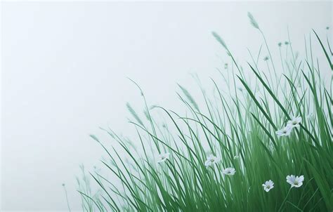 White and grass background, White background 26801509 Stock Photo at ...