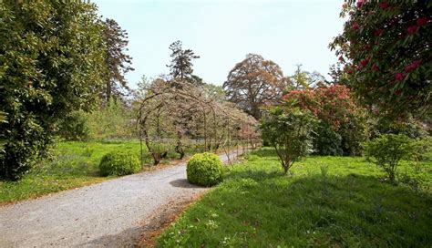 Pentillie Castle Garden Open Day - Outdoors, Saltash - Visit Plymouth