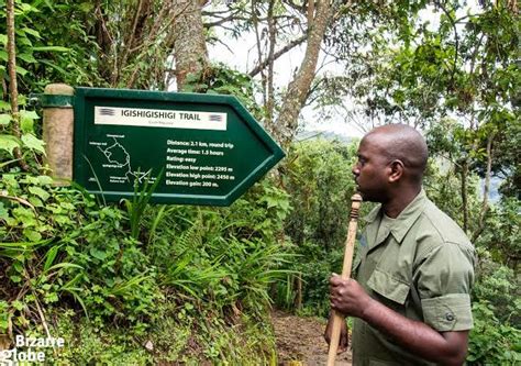 Hiking Trails in Nyungwe National Park | Nyungwe Forest National Park