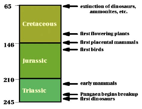 mesozoic timeline | Timetoast timelines