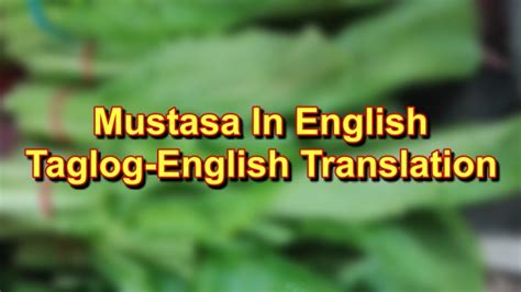 Mustasa: Tagalog-English Translation Of "Mustasa"