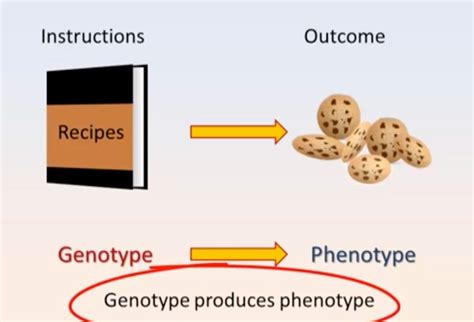 Gene environment interaction | Pearson+ Channels