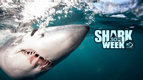 30th Anniversary of Discovery Channel's Shark Week Promises to 'Shark ...