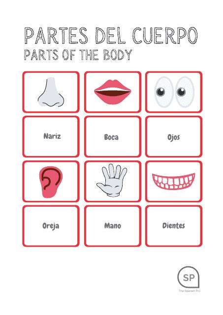 Spanish Flashcards - Parts of the Body Download Printable PDF ...