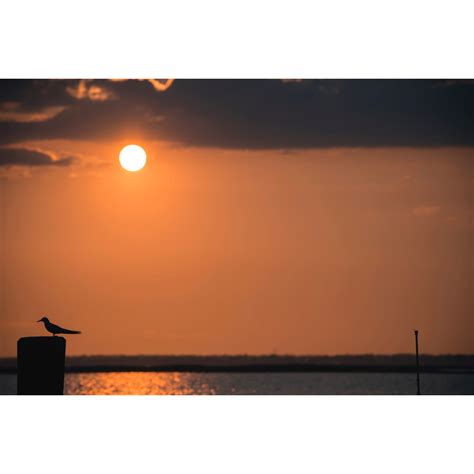 Sunset Silhouette │ Coastal Wall Art — Ryan Crane Photography