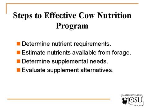 Supplementing Beef Cows Steps to Effective Cow Nutrition