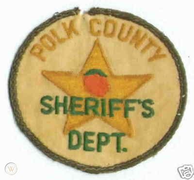 POLK COUNTY FL SHERIFF'S OFFICE MINI-BADGE (GOLD) | #112493606