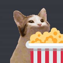 Eating Popcorn Gif Cute - Tomahawk Wallpaper