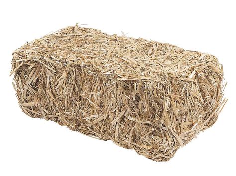 Straw Bale - Champion Builder Supply