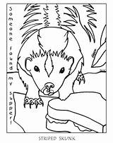 Opossum Coloring Page At GetColoringscom  Free Printable Colorings sketch template