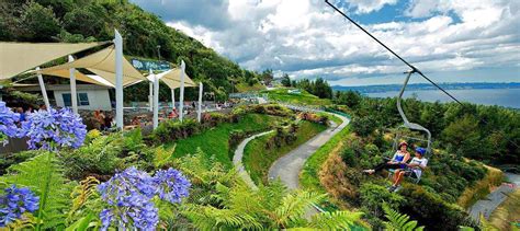 Buy Skyline Gondola Rotorua & Luge Rides Tickets - Special Price 2023