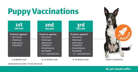 What Is The Vaccination Schedule For Puppies