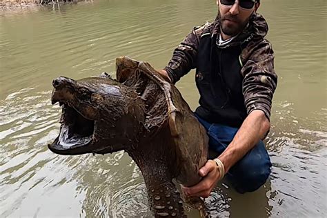 Alabama Man Catches Gigantic Alligator Snapping Turtle - Wide Open Spaces