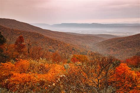 21 Photos to Convince You that Fall is the Best Time to Visit ...