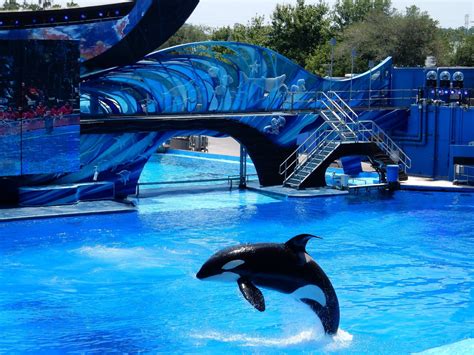 SeaWorld Orlando Tickets | Discount Tickets to SeaWorld