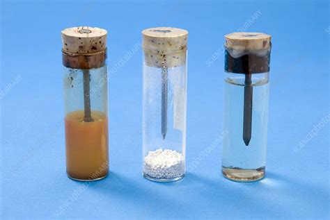 Corrosion of iron demonstration - Stock Image - C024/9323 - Science ...