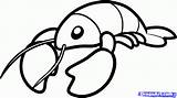 Lobster Pictures For Kids  Coloring Home sketch template