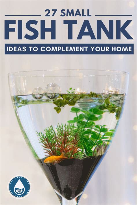 27 Small Fish Tank Ideas - Complement Your Home With Style!