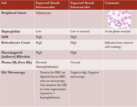 Hemolytic Anemia Flashcards | Quizlet