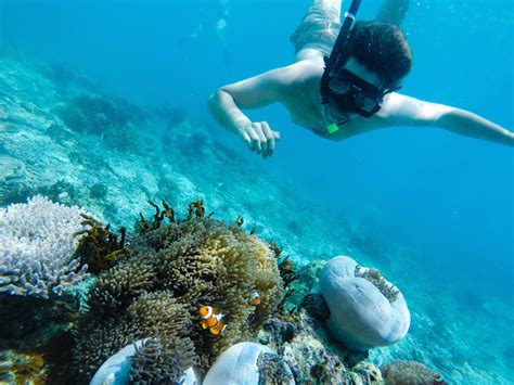 Snorkeling Pulau Perhentian - soakploaty