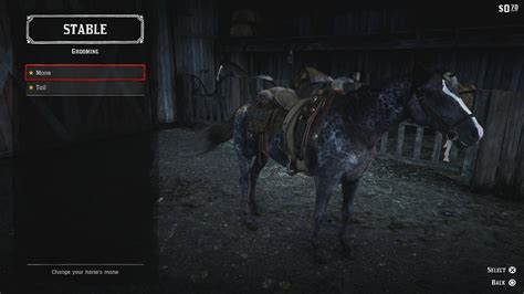 How to Customize your Horse in Red Dead Redemption 2 - Hold to Reset