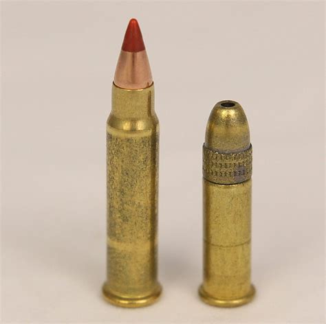 17HMR vs 22LR | The Hunting Gear Guy