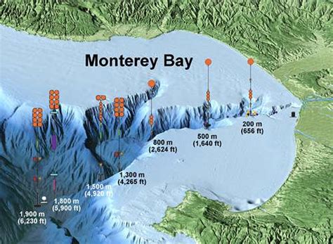 International experiment tracks underwater avalanches in Monterey Canyon