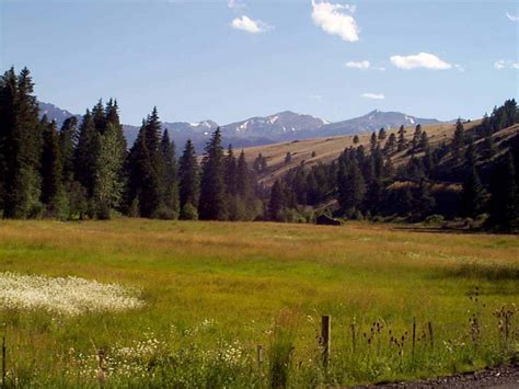 Wallowa-Whitman National Forest - Volunteer Vacations 2021 - American ...