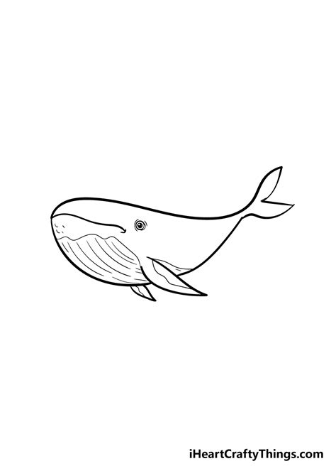 Whale Drawing - How To Draw A Whale Step By Step!