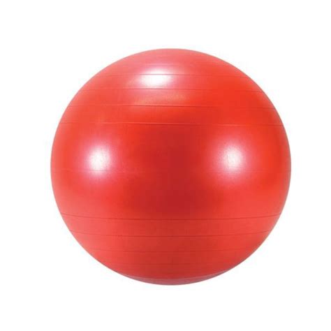 Pisces Healthcare Solutions. Gymnic Exercise Ball, 55 cm, Red