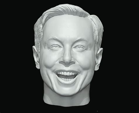 Elon Musk Laughing Meme Head Portrait 3D Printed Figure 2021 Man of the ...