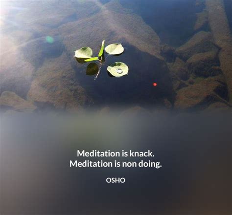 Osho Insight | osho quotes on meditation, friendship, watchfulness ...