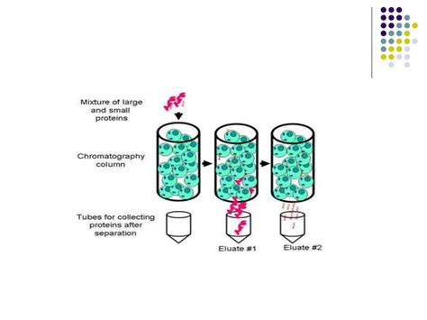 Partition chromatography 3