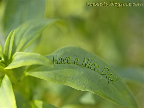 HAVE A NICE DAY WALLPAPER (HD) ~ noexit4u.com