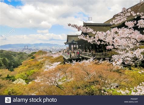 Kiyomizu Stage with the cherry blossoms at Kiyomizu-dera temple in ...