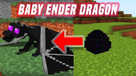 BABY DRAGON HATCHED FROM ENDER DRAGON EGG IN MINECRAFT POCKET EDITION USING ADDON - YouTube