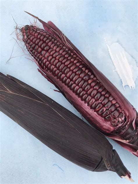 Organic Double Red Sweet Corn Seeds – Hudson Valley Seed Company